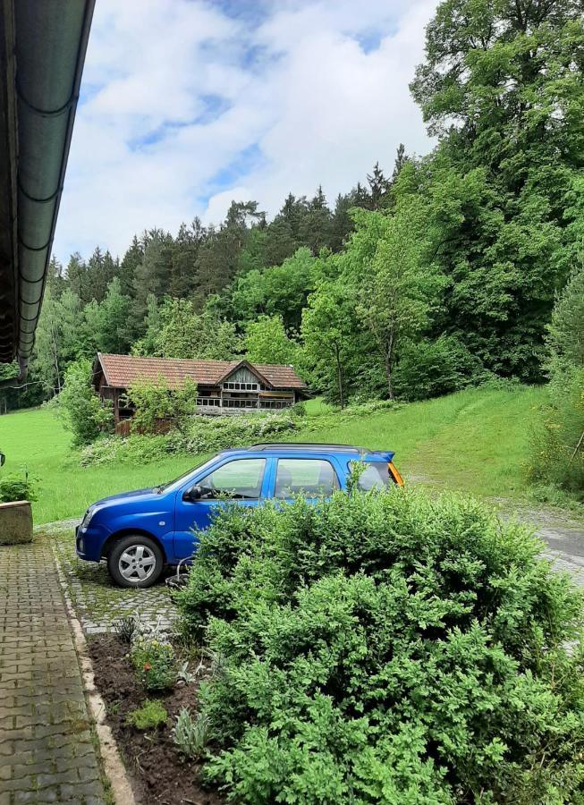 Apartamento Ferienhaus Piller Viechtach Exterior foto